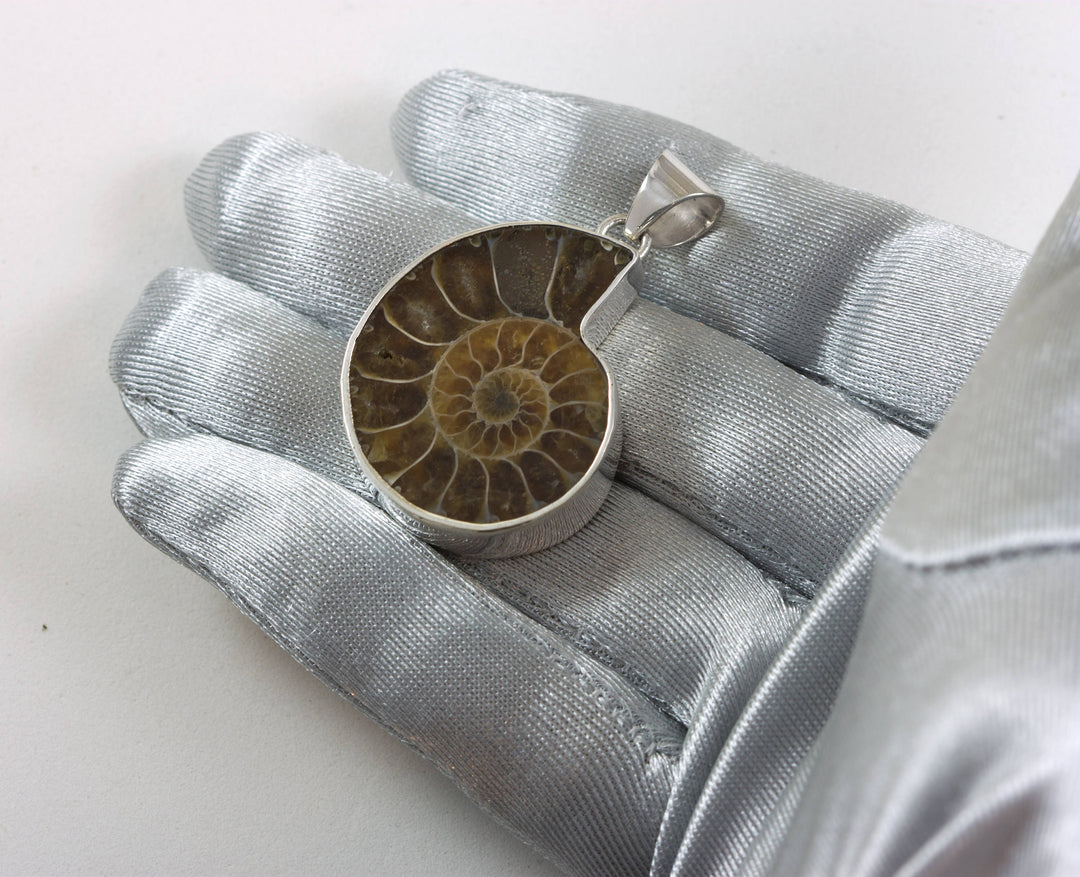 Ammonite Pendant Sterling Silver Large Necklace Pendant Natural Shell Fossil Simple Contemporary Design Earthy Colors Bezel Setting