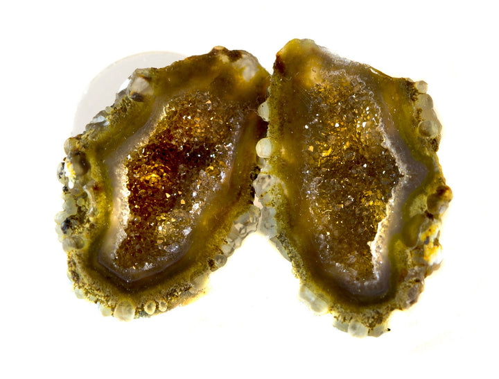 Baby Geode Earrings Tabasco Soft Amber Druzy Post Studs 14k Gold Filled Small Natural Drusy Quartz Halved Geodes Paired AAA